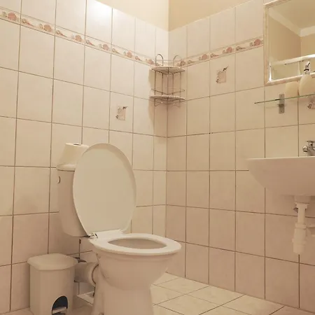 Gæstehus Penzion Zirovice *